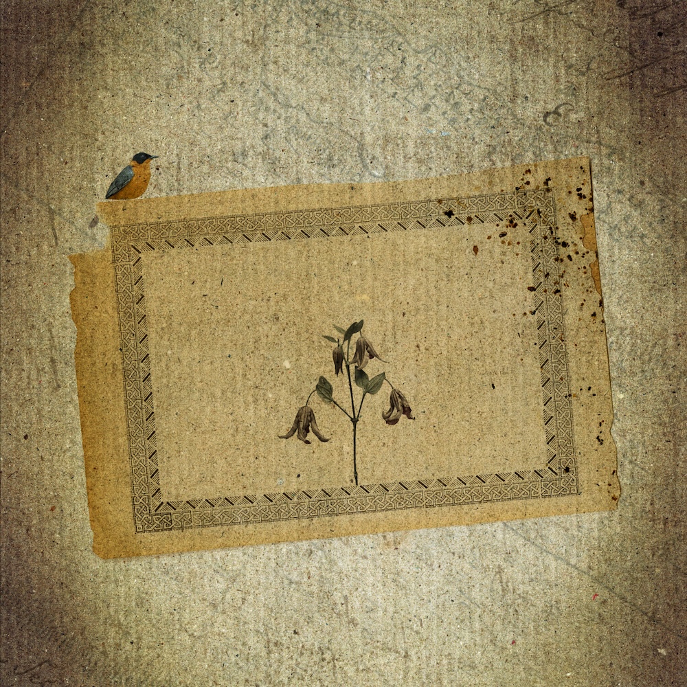 Et quand auguste, le bateleur magnanime se délecte d'une bourgeoise insane